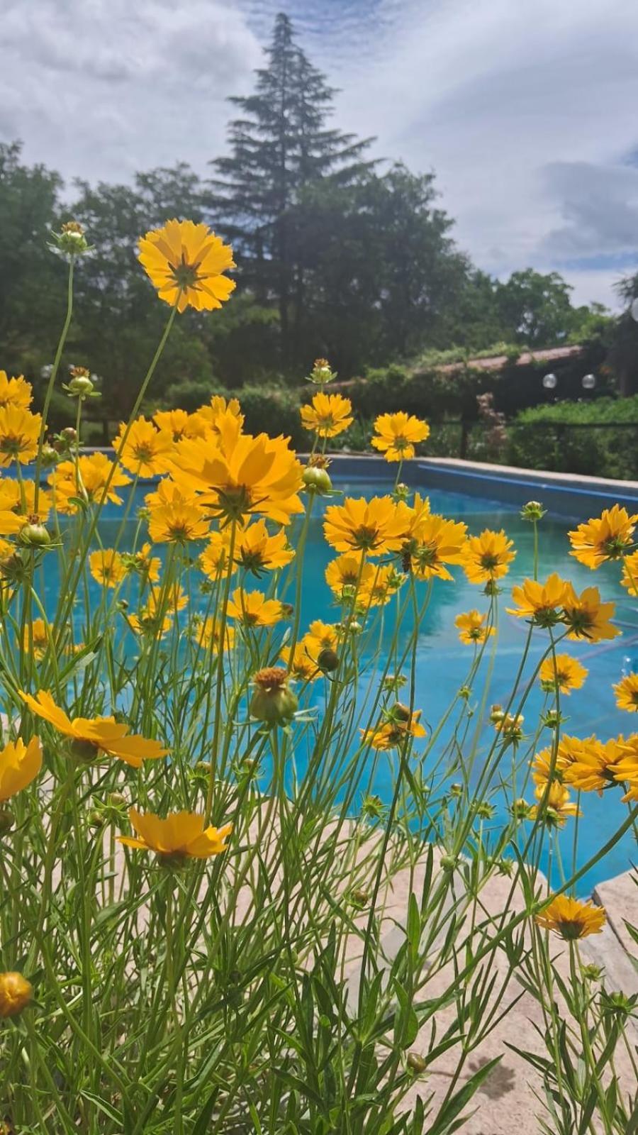 Hosteria Pastoral & Spa La Cumbre Bagian luar foto